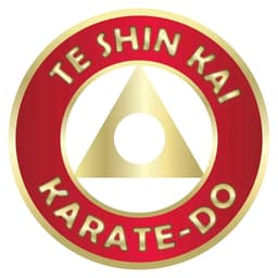 Te shin Kai karate Thecho Dojo