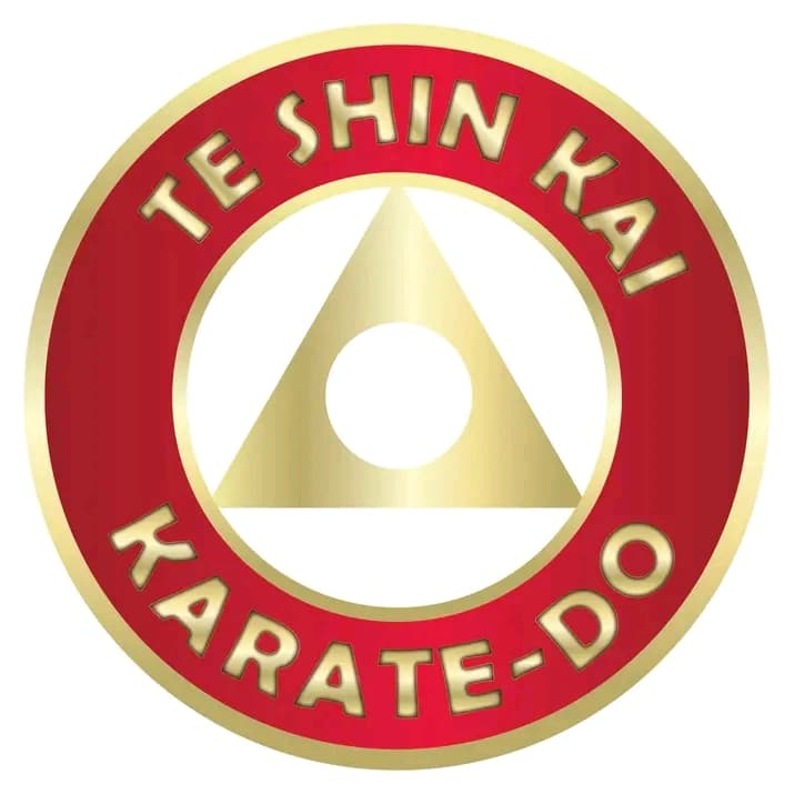 Te shin Kai karate Thecho Dojo